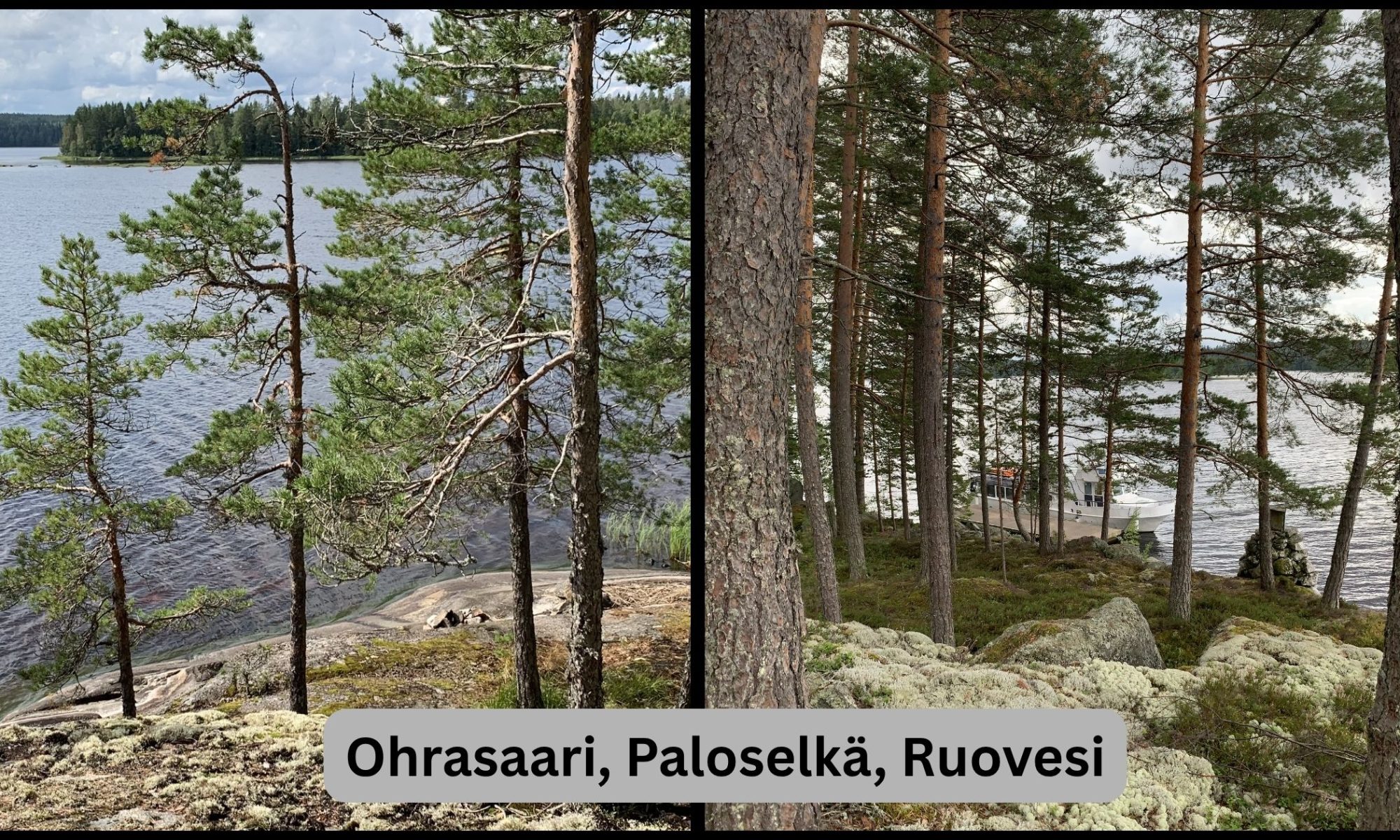 Kipparin saari Ruovedellä